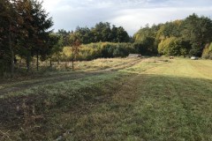 IMG_0204