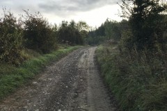 IMG_0110