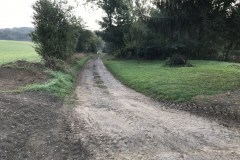 IMG_0113