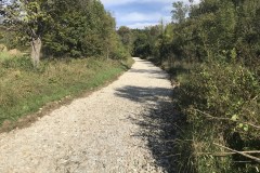 IMG_0128