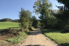 IMG_0160