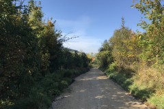 IMG_0164