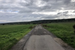 IMG_1315