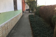 IMG_3809